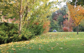 محوطه سازی