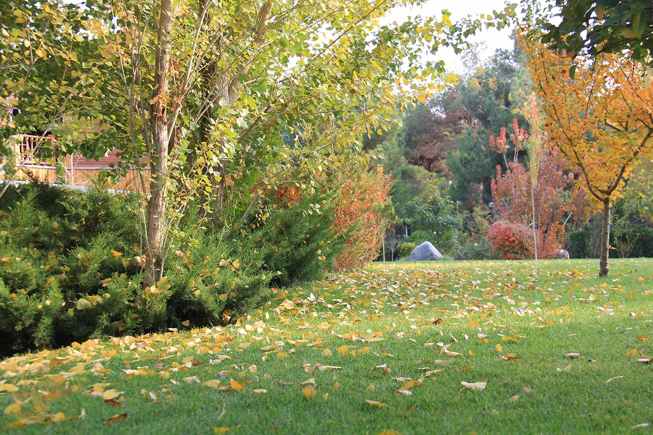 محوطه سازی محوطه سازی