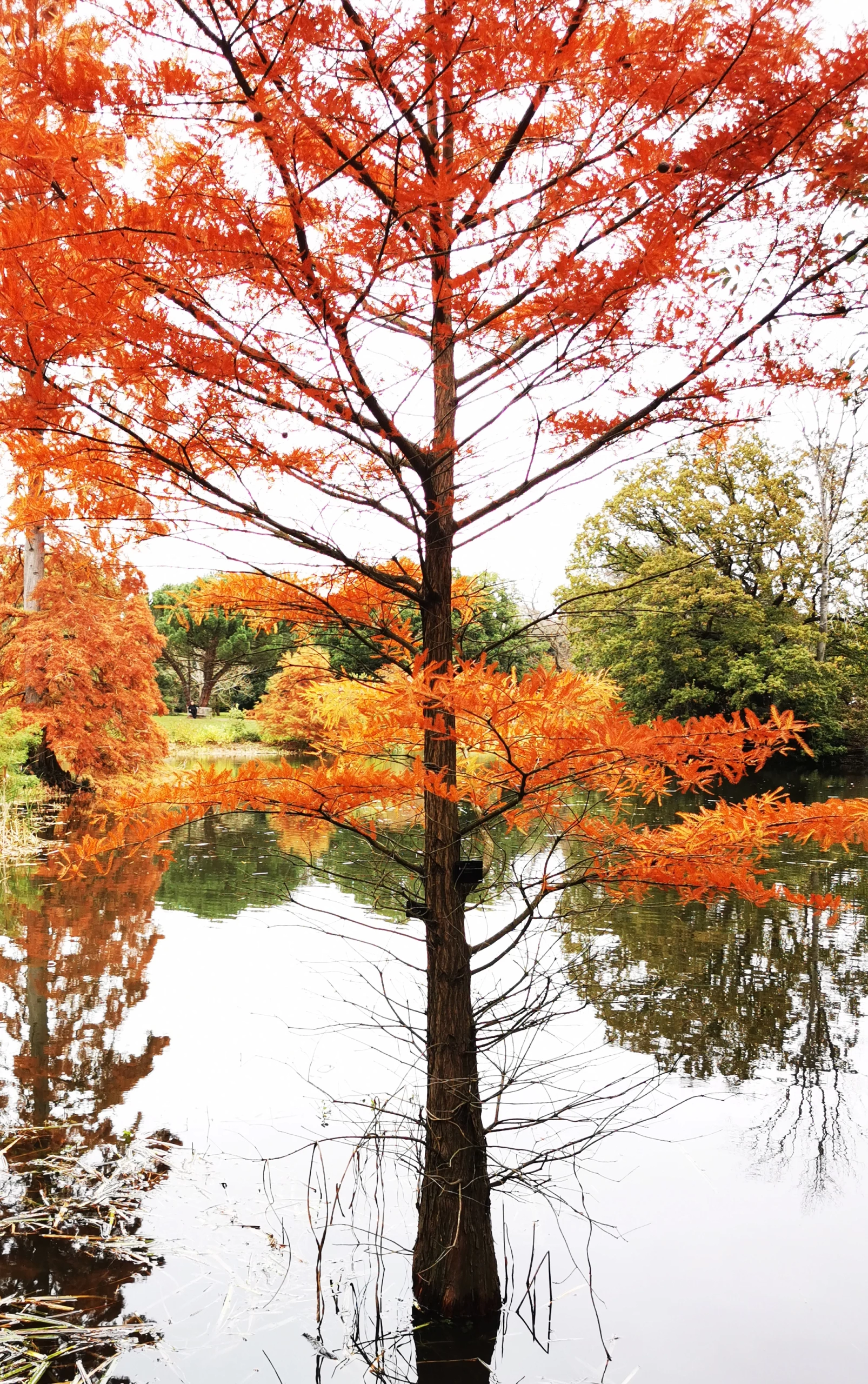 دارتالاب دارتالاب