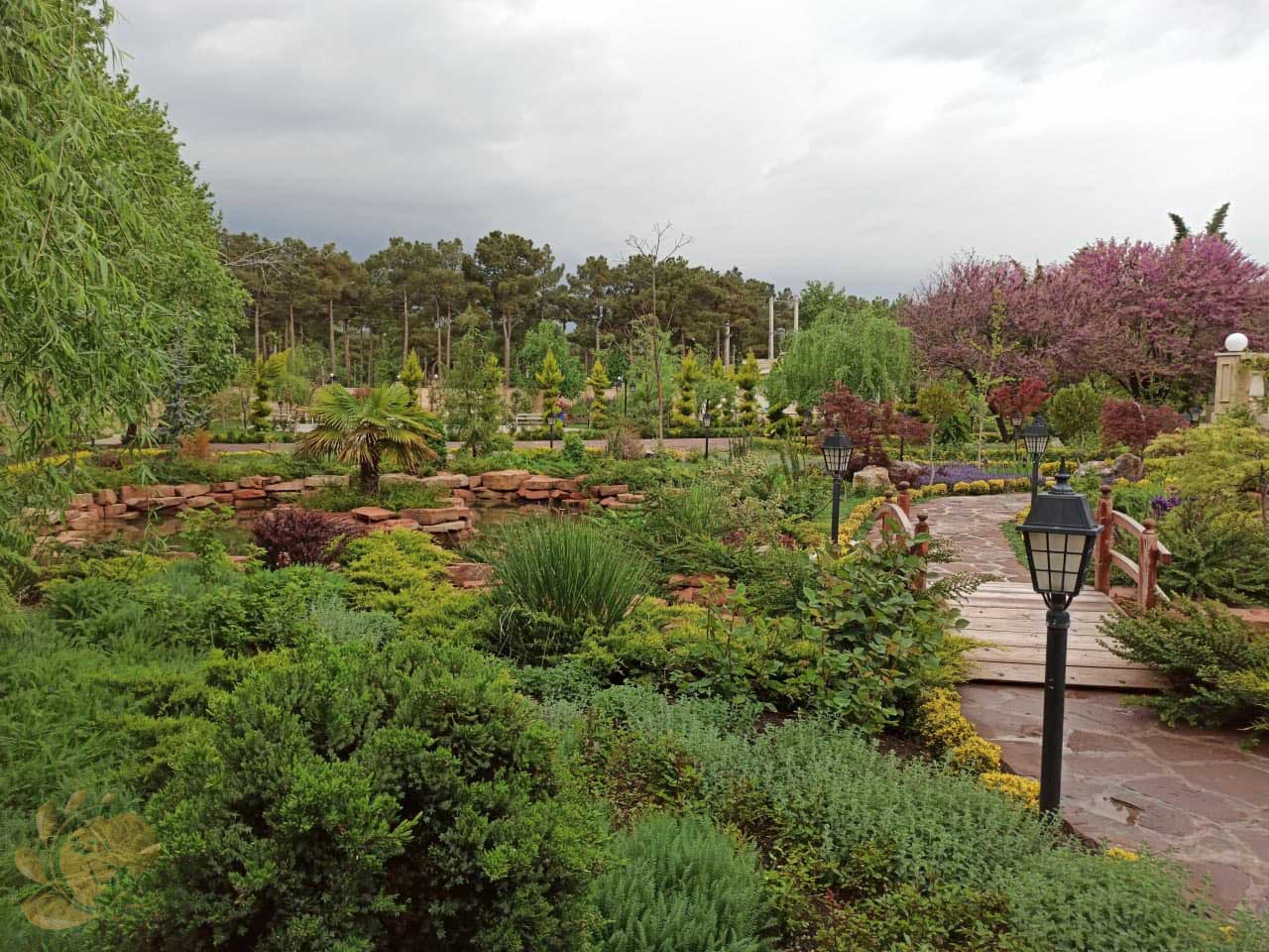 Landscaping (32)