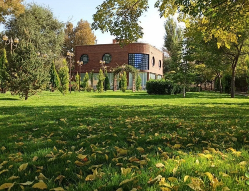 هفت نکته محوطه سازی برای آسان تر کردن چمن زنی