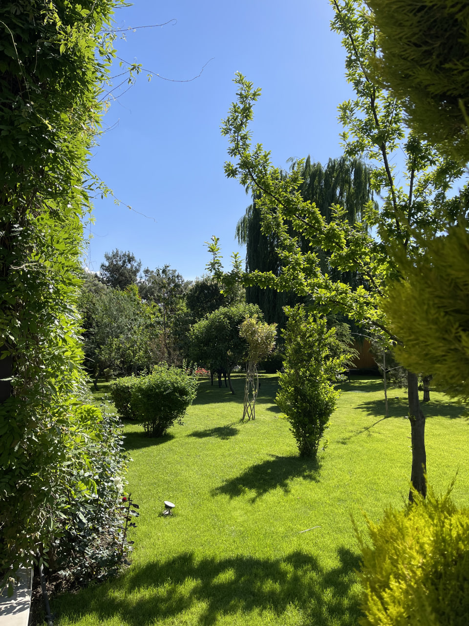 Landscape Zibadasht (25) احداث فضای سبز و کاشت چمن در شهرک زیباشدت کرج