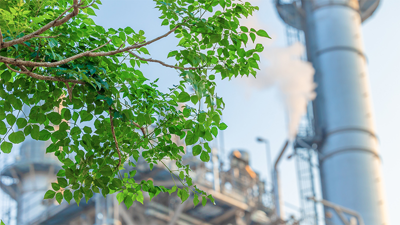 Factory Landscaping (4)