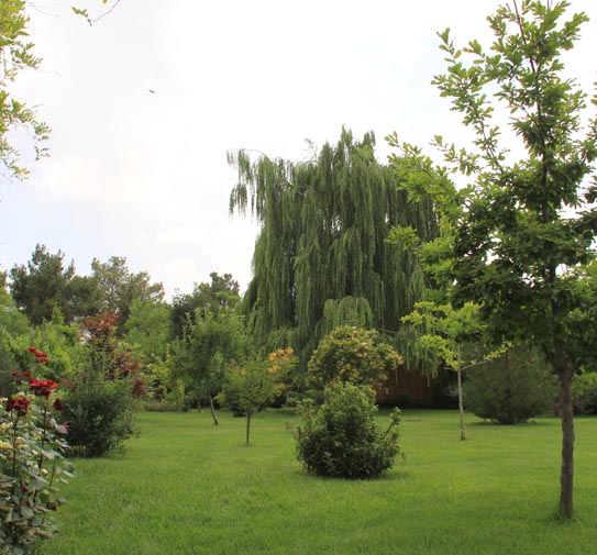 Landscaping 05 محوطه سازی زیبادشت