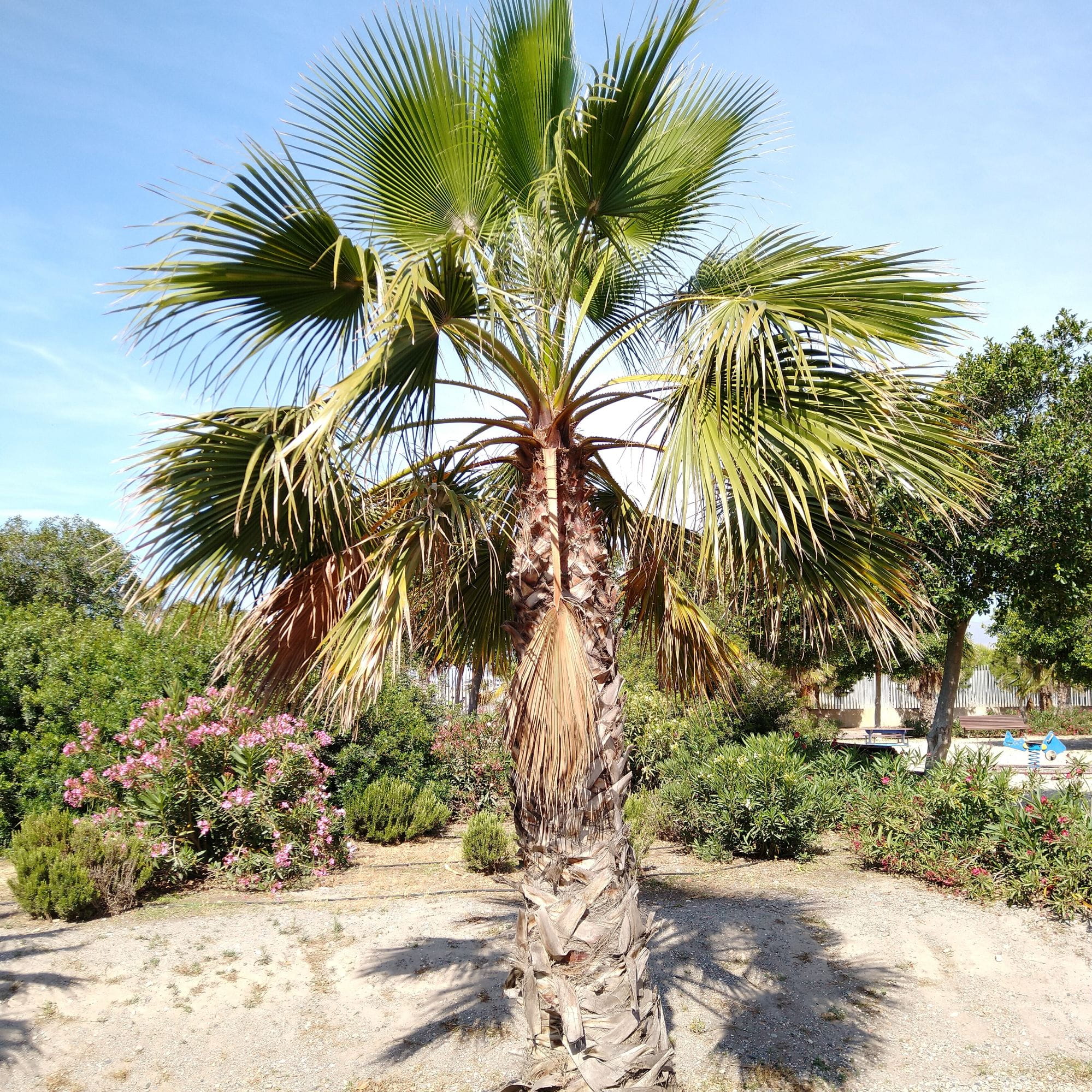 Yaw:262.4162,Pitch:3.9137620395998622,Roll:0.3931125415707317