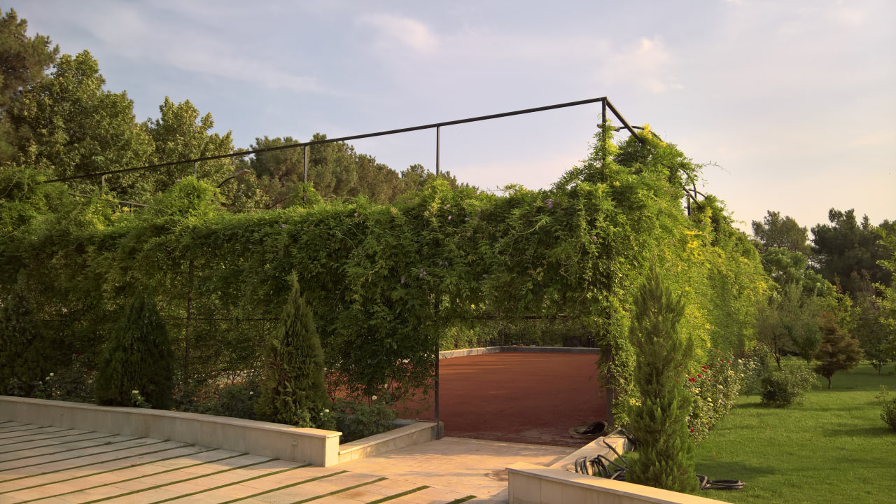 Wisteria sinensis 10 استفاده از پیچ گلیسن برای پوشاندن فنس